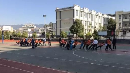 实训实习