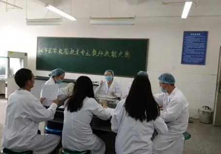 实训实习