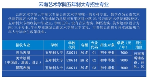 云南艺术学院五年制大专招生专业