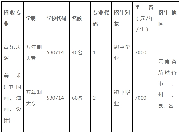 云南艺术学院五年制大专