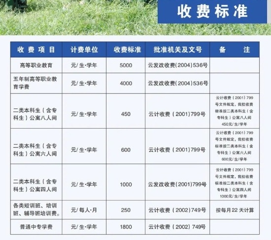 收费标准